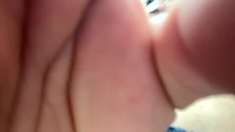 halebb online show from December 3, 3:56 am