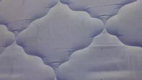 hamhead71 online show from April 15, 8:03 am