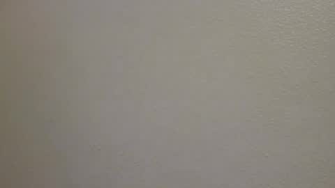 hamhead71 online show from April 6, 3:36 am