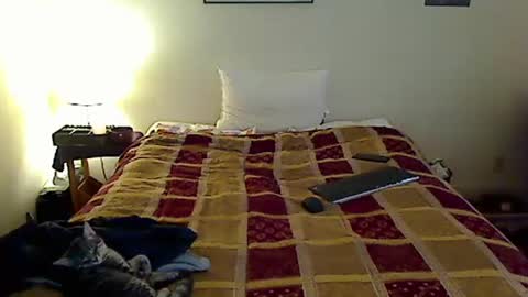 hammerthatthang73 online show from November 8, 7:50 pm