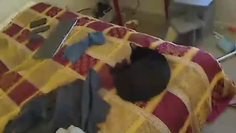 hammerthatthang73 online show from November 6, 6:44 pm