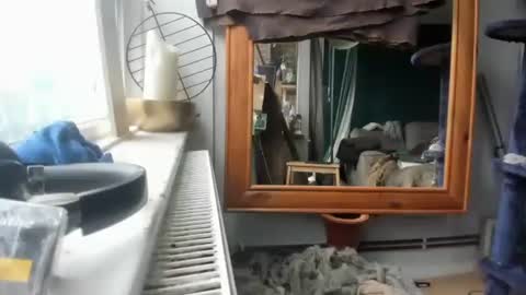 Snapshot of handncocknocum chatting on December 17, 11:17 am handncocknocum online show from December 17, 11:17 am