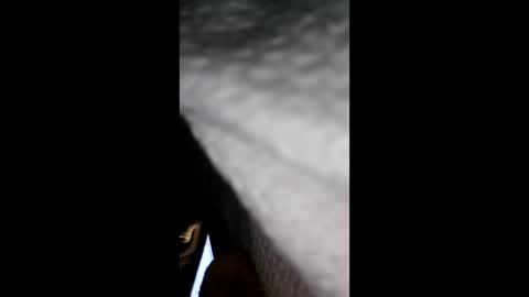 hanes1711 online show from March 28, 3:51 am