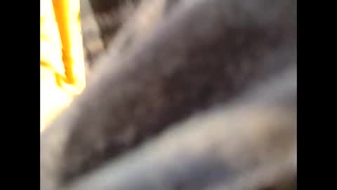 hardandhorny422 online show from November 26, 2:31 pm