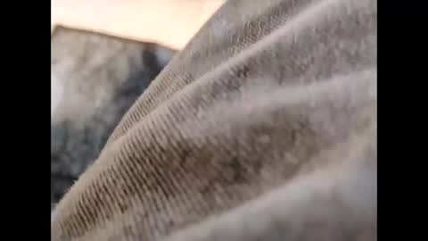 hardandhorny422 online show from October 30, 11:55 am