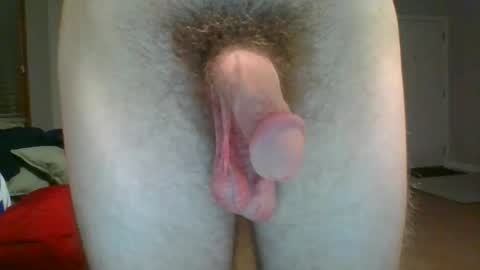 Dave online show from October 20, 2:26 am