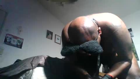 hbdj2164 online show from October 4, 8:08 am