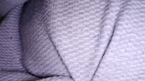 heaven_port2 online show from November 16, 12:46 am