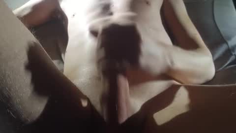 hills87 online show from December 6, 9:13 pm