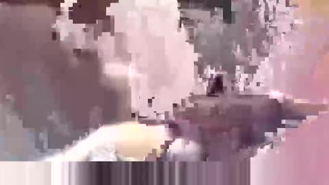 Jan online show from December 5, 9:38 am