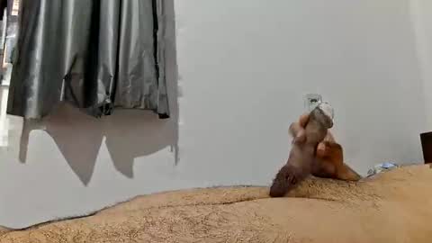 honey__dick online show from April 14, 10:48 am