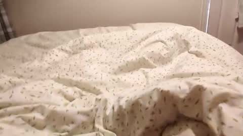 hornybiker1987 online show from April 2, 7:49 am