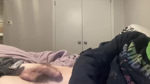 hornybisea88 online show from February 19, 4:34 am