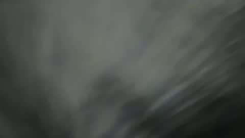 Bbc horsey online show from December 23, 8:00 am