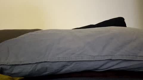 hotgoldboy online show from September 18, 7:21 am