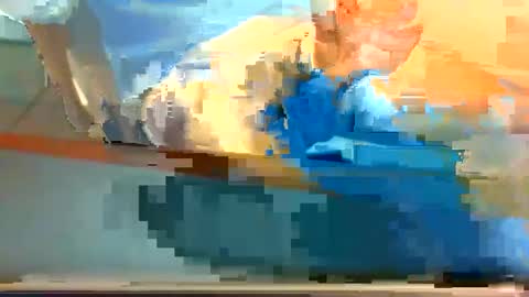 Snapshot of hoyosjay68 chatting on September 22, 4:50 pm Jay.....jayhoe878 SC online show from September 22, 4:50 pm