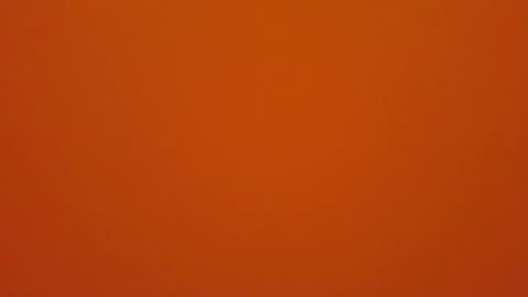 hundeleine online show from December 16, 9:05 am