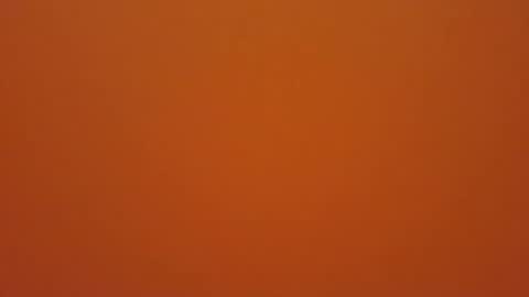 hundeleine online show from December 19, 11:29 am