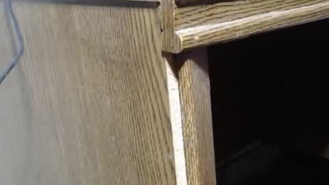 hungsofine online show from February 19, 6:54 pm