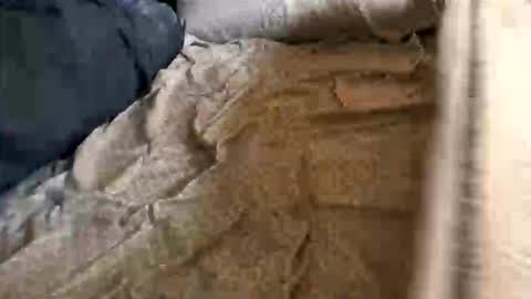 hungsolow6943 online show from November 29, 8:33 pm