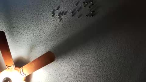 hungtxcock92 online show from February 19, 12:11 pm