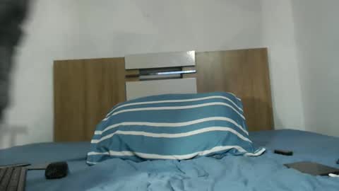 David Colt online show from April 8, 8:14 am