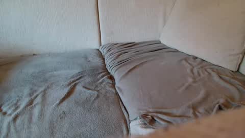 Snapshot of ich_hh chatting on January 13, 9:30 am SnowTiger online show from January 13, 9:30 am