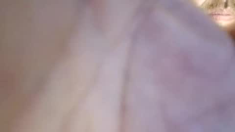 icyfucktoy online show from October 28, 12:13 am