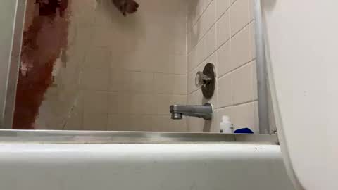 iloveyourgoodpussy online show from December 4, 7:26 am