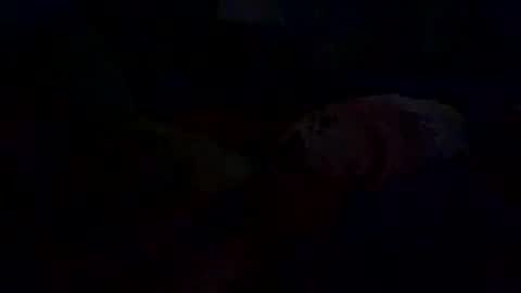 im_free_0121 online show from December 29, 12:45 pm