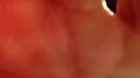 imopqsuguidz online show from September 21, 6:24 am