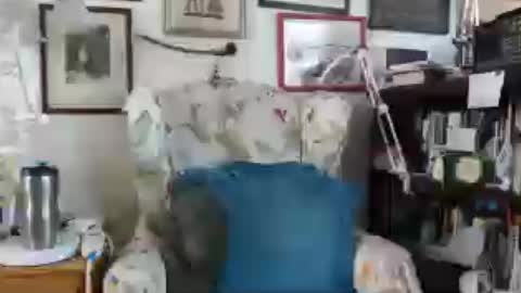 ImYourBitch online show from July 1, 11:04 pm