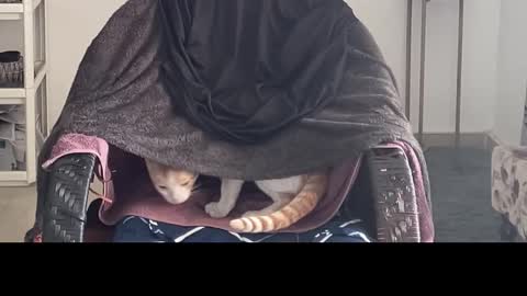 Raje online show from December 3, 7:14 am