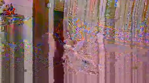 ivanperky online show from November 6, 1:41 am