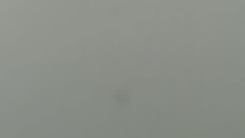 funtimes49203 online show from February 2, 1:12 am