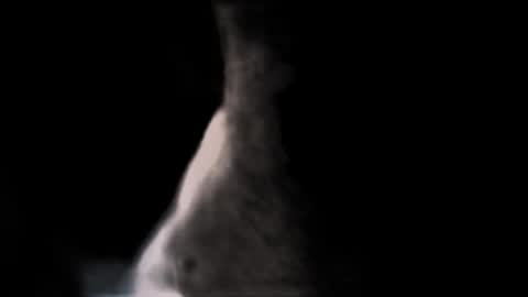 Bootyshows online show from February 1, 7:34 pm