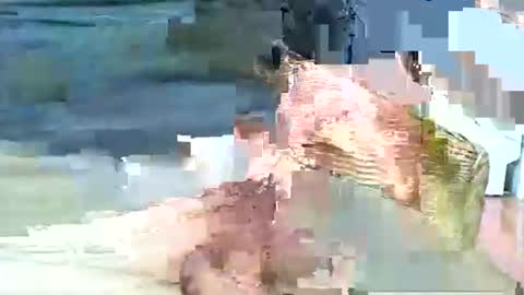 jani56 online show from April 15, 10:26 am