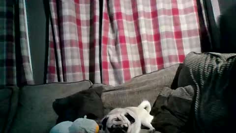 Matt online show from March 25, 10:25 pm