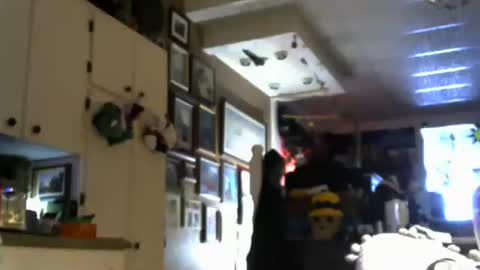 Jello9 online show from July 20, 1:24 pm