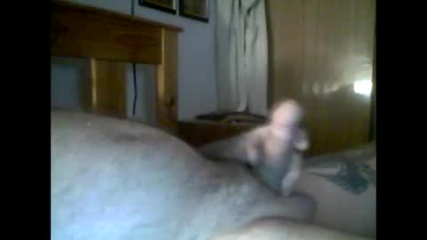 Snapshot of jerkmate6666 chatting on December 2, 12:27 pm jerkmate6666 online show from December 2, 12:27 pm