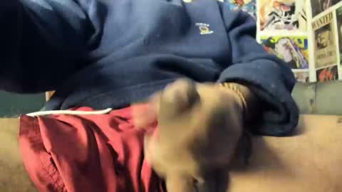 John carrie    Independent  Help me reach my goal 100 likes and 10000 followers  online show from December 1, 7:33 am