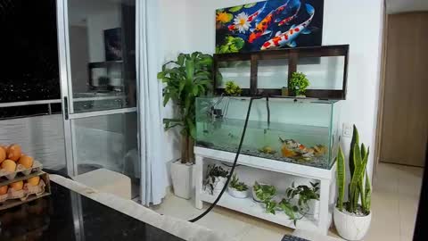 JOHNNY online show from September 22, 1:05 am