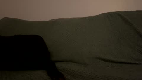 JohnThomasBWC online show from February 13, 11:54 pm