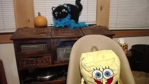 Johston online show from November 29, 9:28 pm