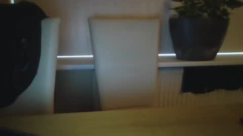 Snapshot of jop55 chatting on January 1, 8:35 am Jop55 online show from January 1, 8:35 am