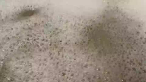 Snapchat jcockscommunity online show from April 21, 10:16 pm