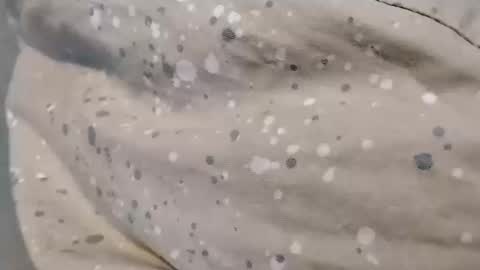 Asian office boy online show from December 18, 2:07 am