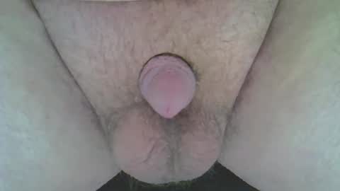 maggot online show from February 11, 8:47 pm