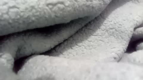 Snapshot of kikokemo1 chatting on October 28, 11:01 am ac online show from October 28, 11:01 am