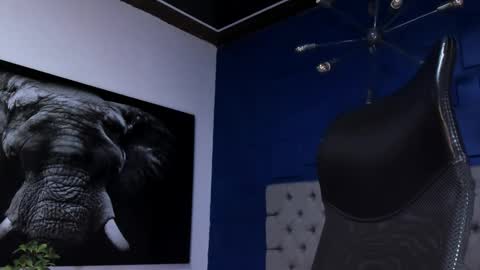 Angel Falconer online show from February 1, 1:59 am